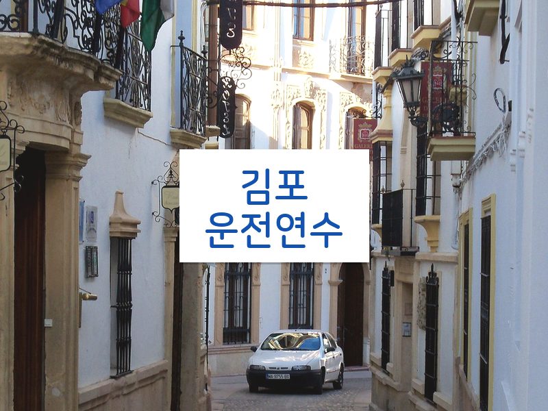 김포운전연수 후기