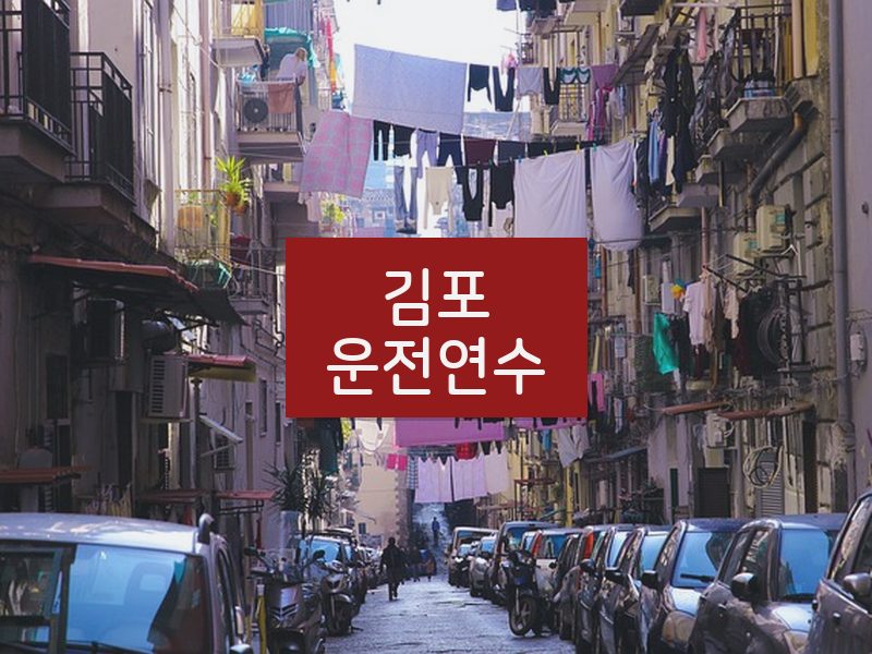 김포운전연수 후기