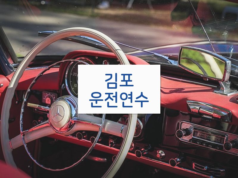 김포운전연수 후기