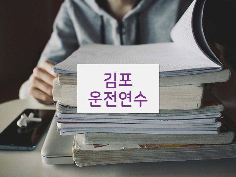 김포운전연수 후기