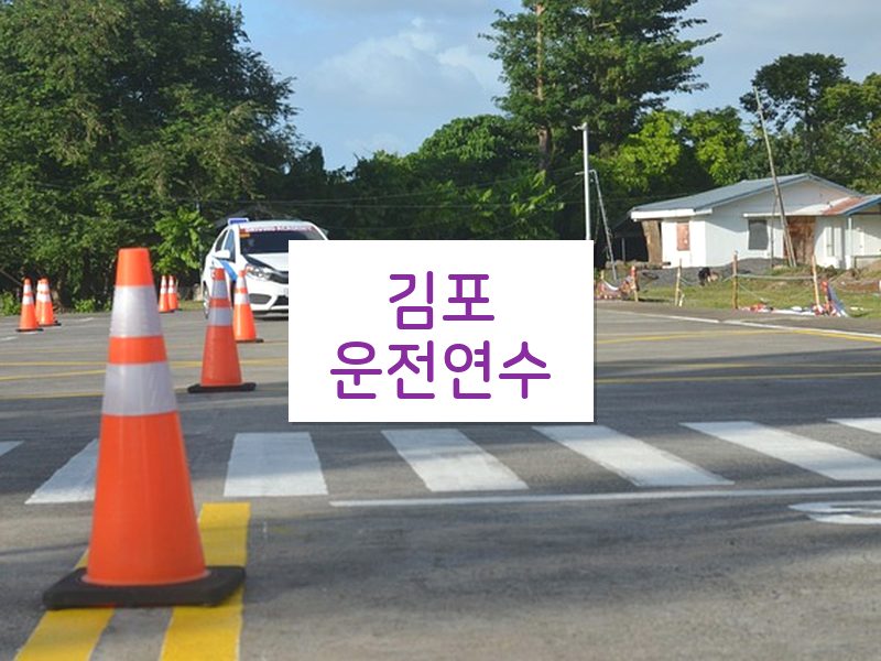김포운전연수 후기