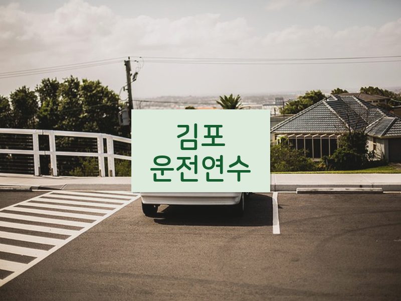 김포운전연수 후기