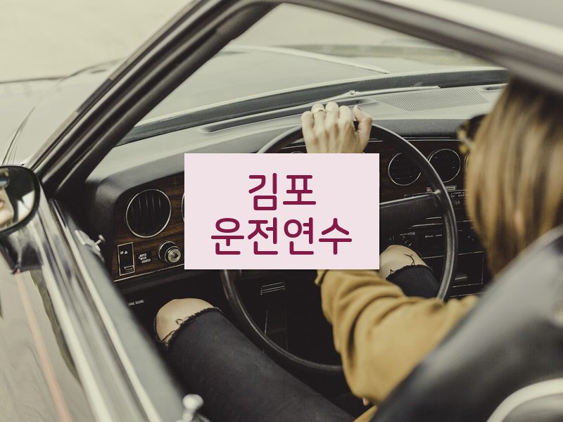 김포운전연수 후기