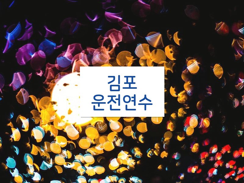 김포운전연수 후기