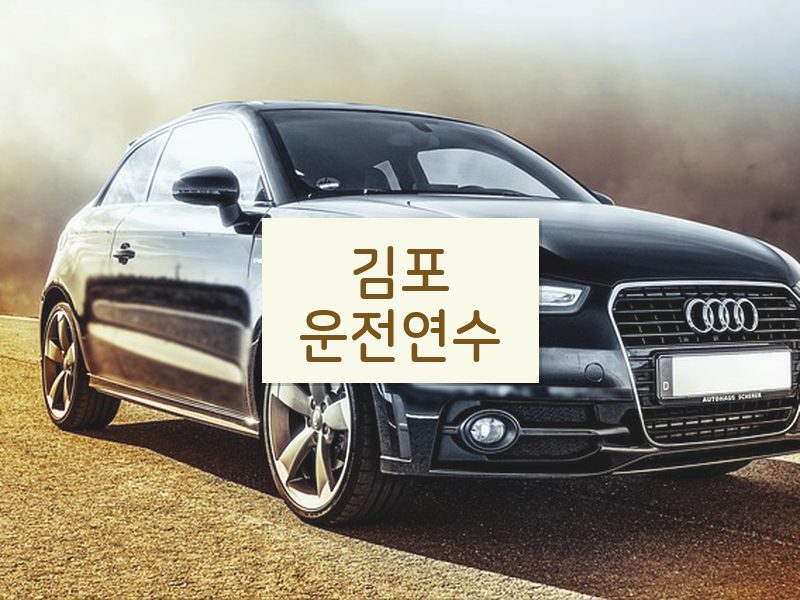 김포운전연수 후기