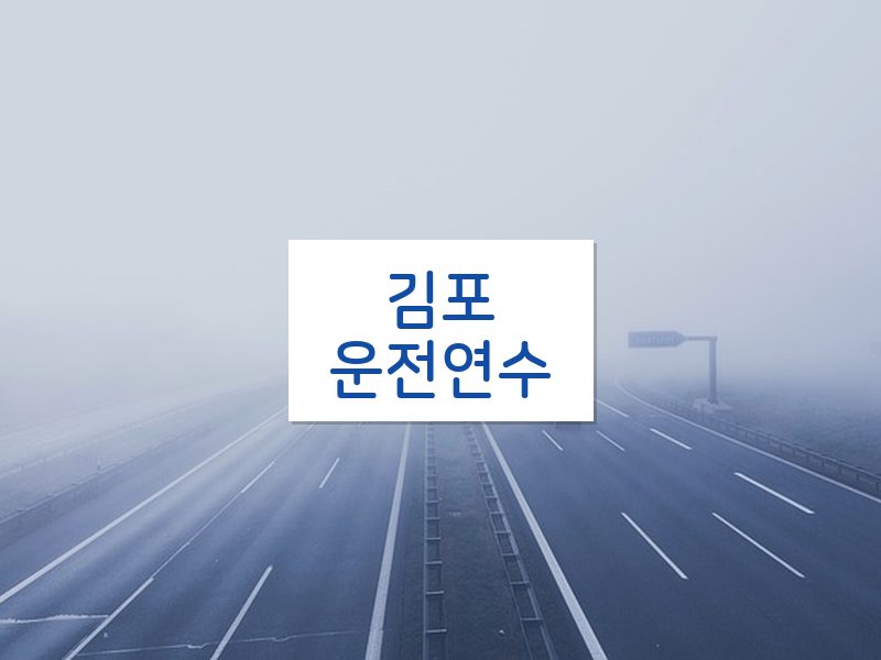 김포운전연수 후기