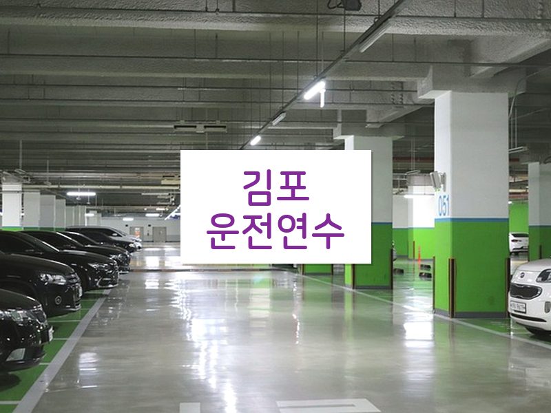 김포운전연수 후기