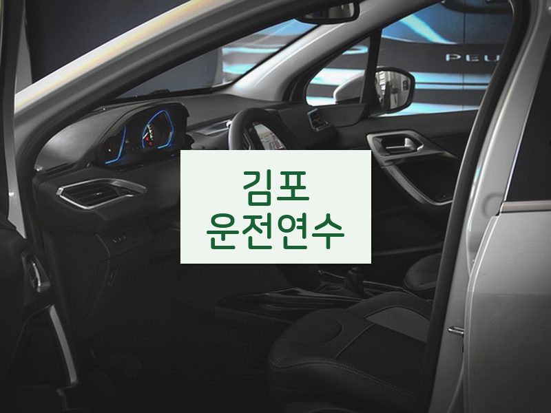 김포운전연수 후기