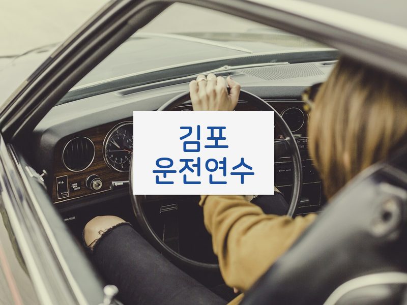 김포운전연수 후기