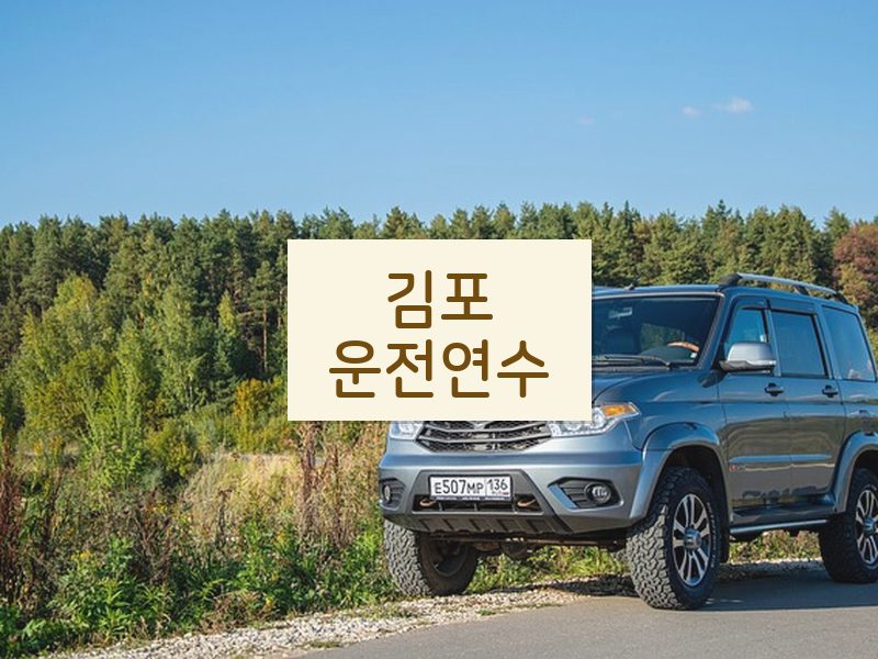 김포운전연수 후기
