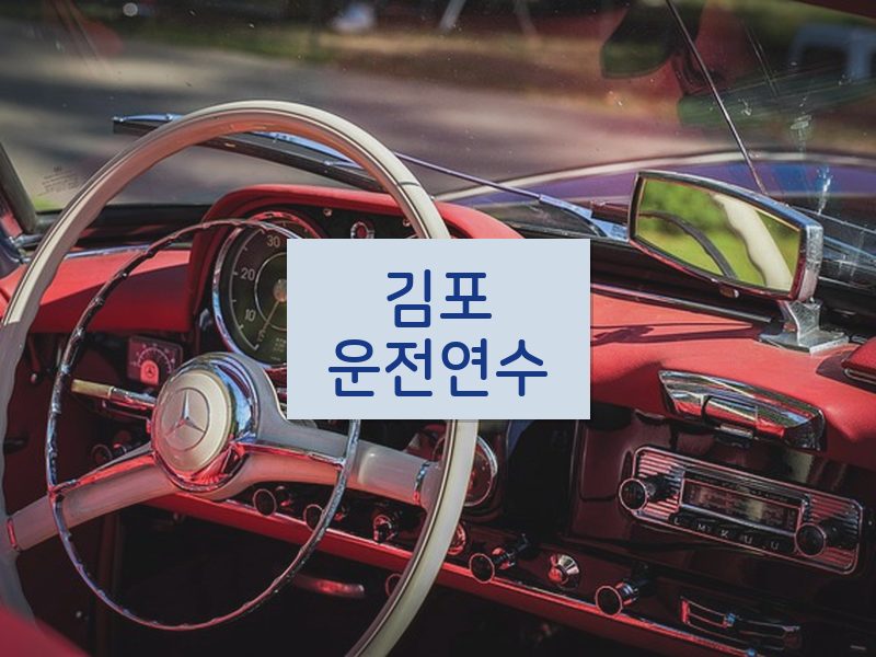 김포운전연수 후기
