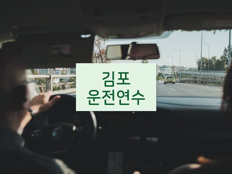 김포운전연수 후기