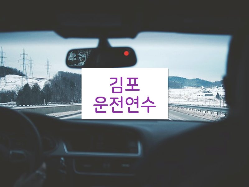 김포운전연수 후기