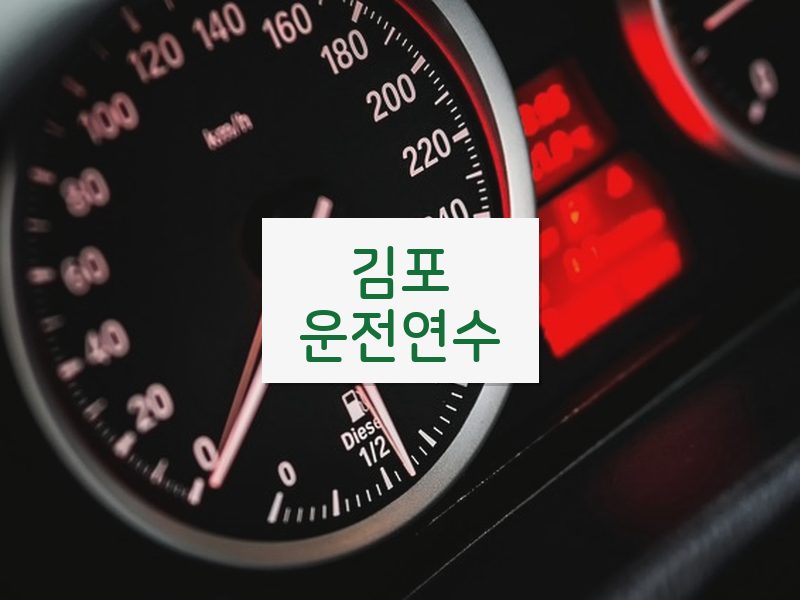 김포운전연수 후기