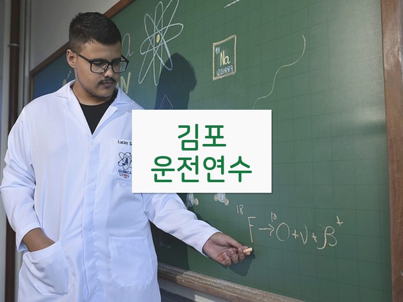 김포운전연수 후기