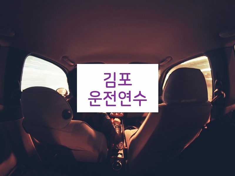 김포운전연수 후기