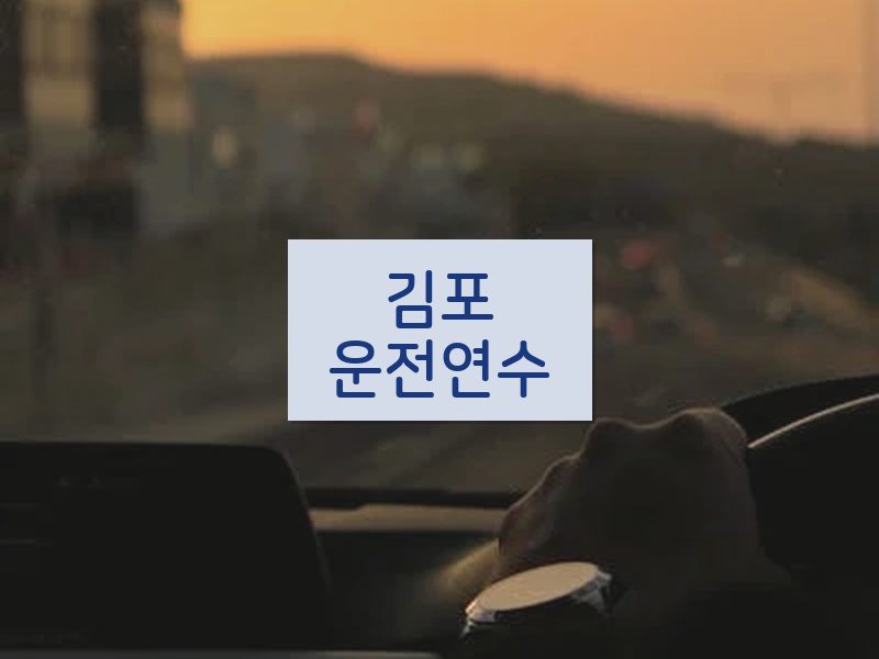 김포운전연수 후기