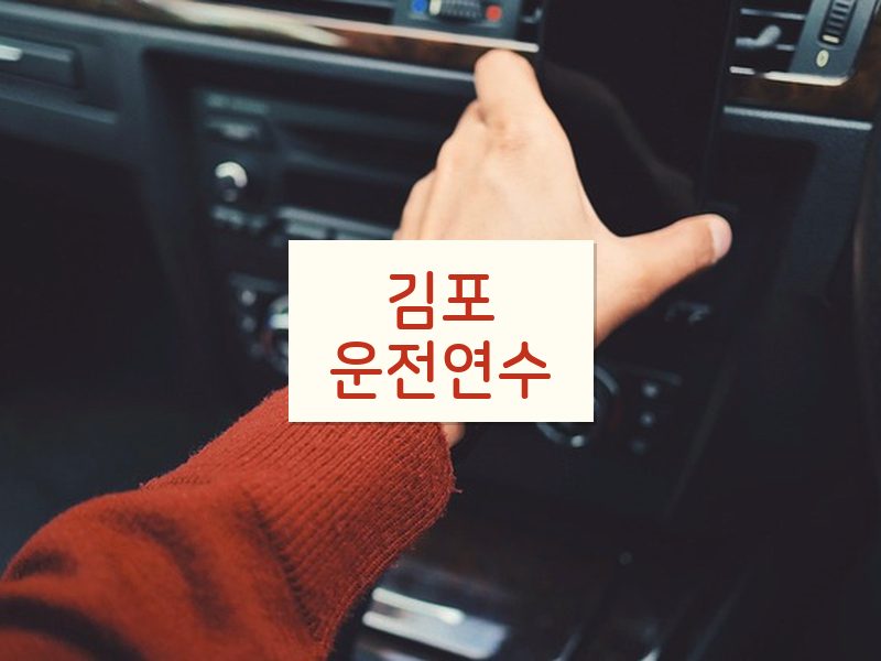 김포운전연수 후기