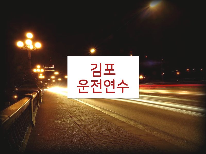 김포운전연수 후기