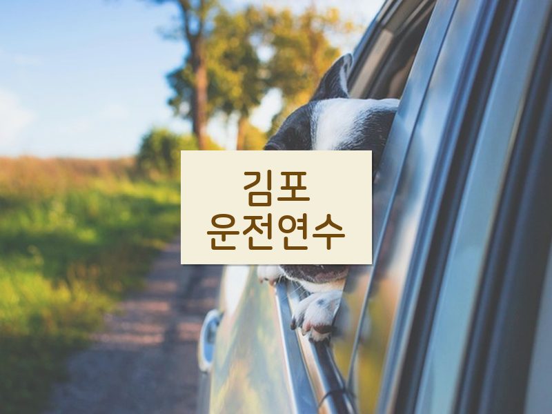 김포운전연수 후기