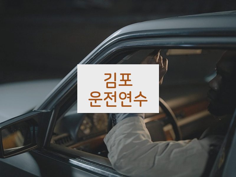 김포운전연수 후기