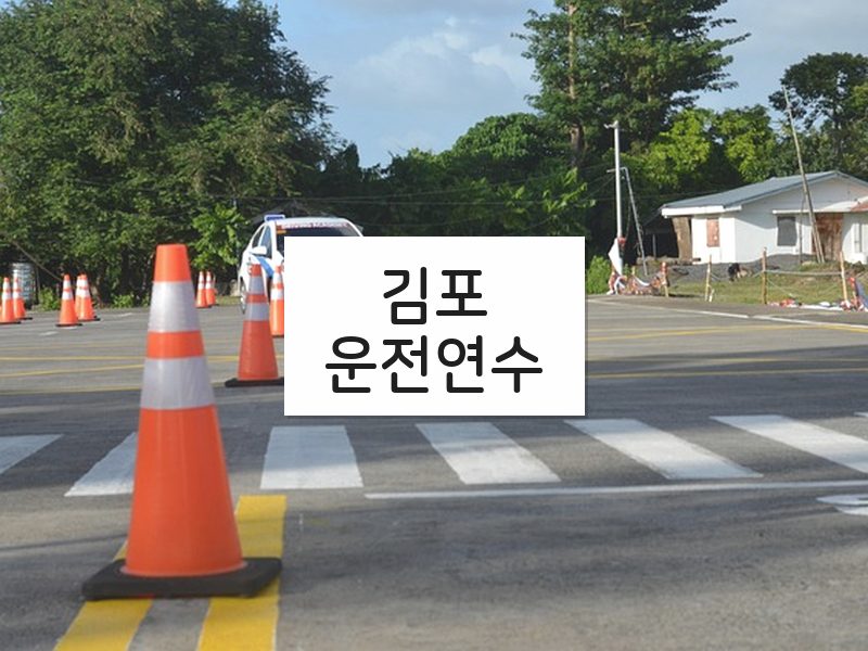 김포운전연수 후기
