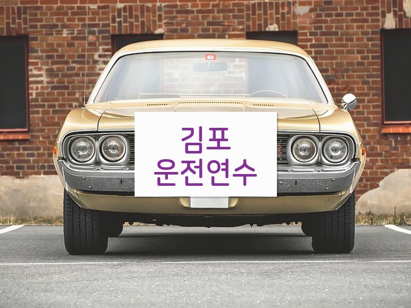 김포운전연수 후기