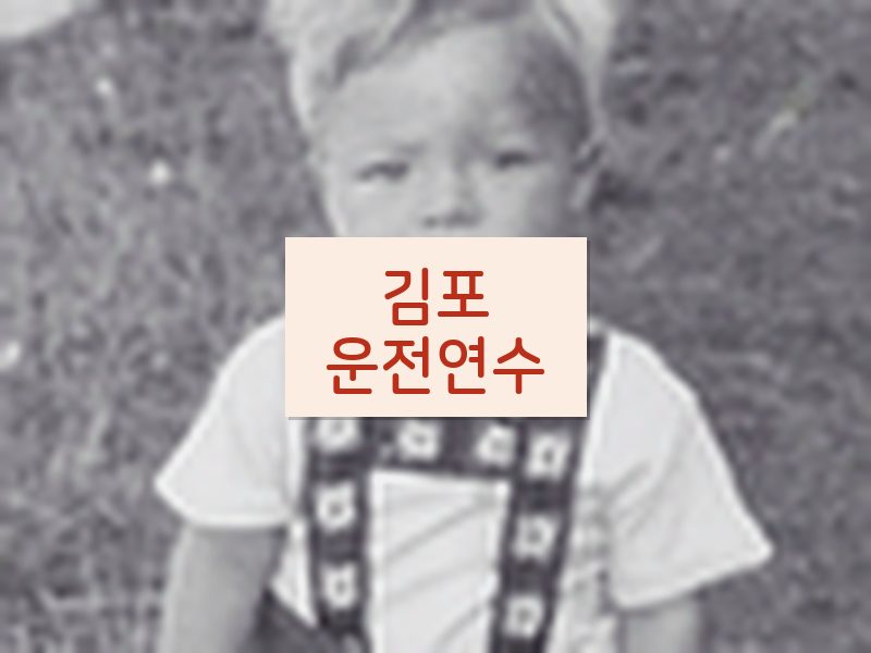 김포운전연수 후기