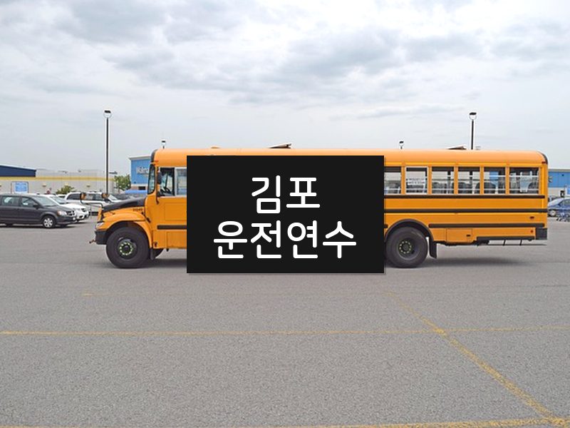 김포운전연수 후기