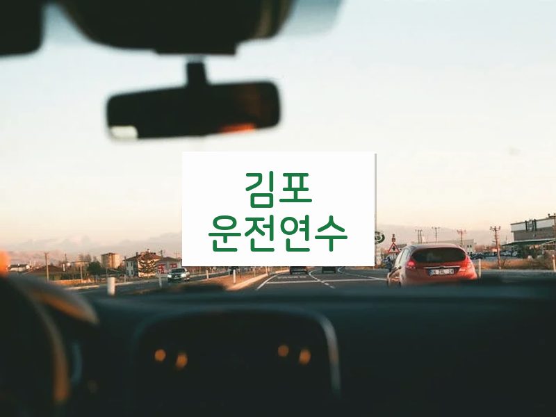 김포운전연수 후기