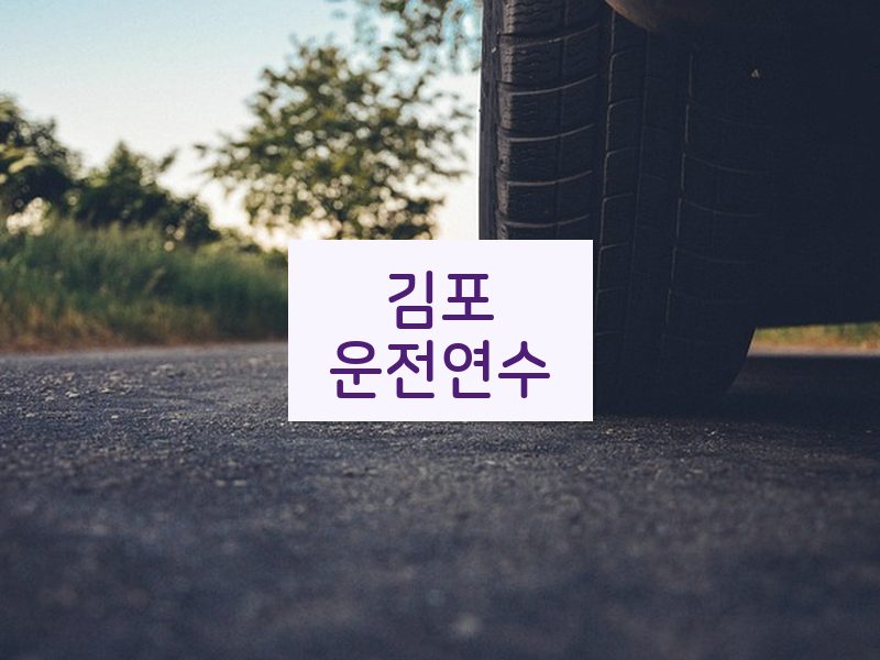김포운전연수 후기