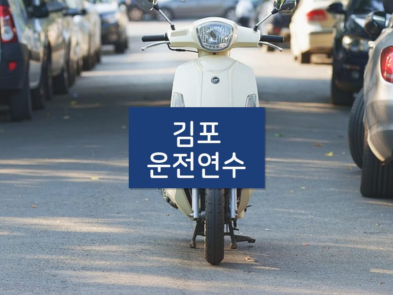 김포운전연수 후기