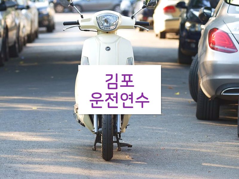 김포운전연수 후기