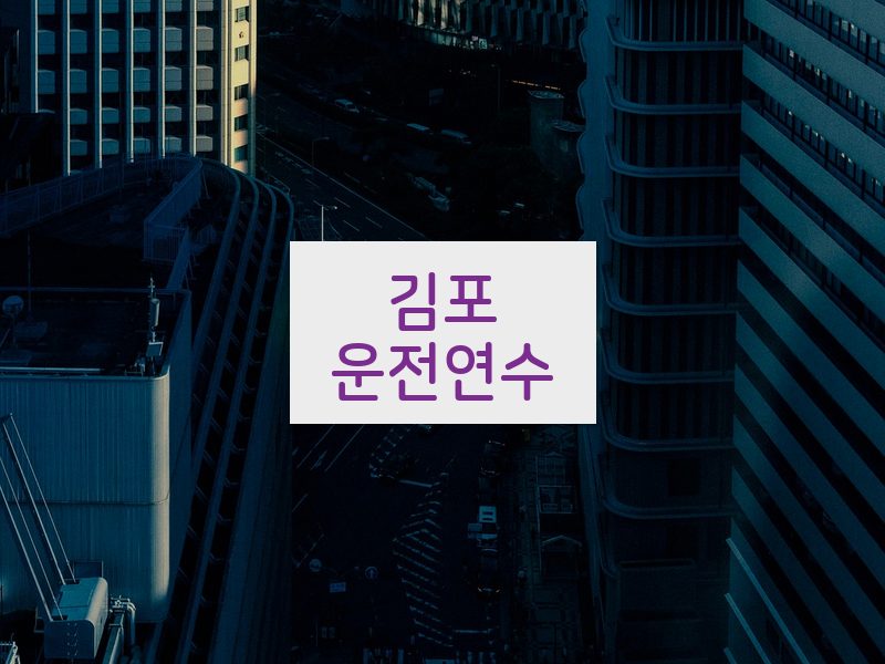 김포운전연수 후기