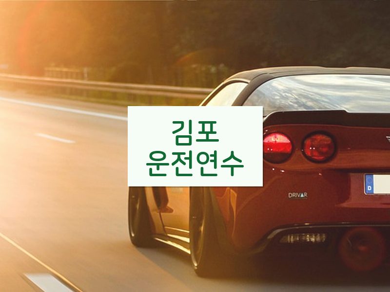 김포운전연수 후기