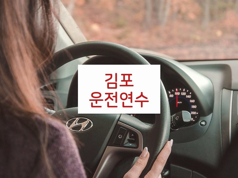 김포운전연수 후기