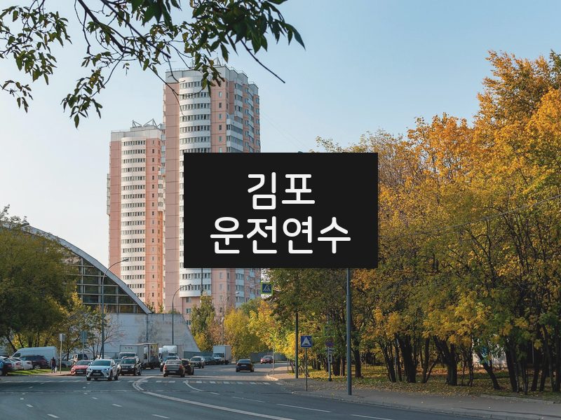김포운전연수 후기