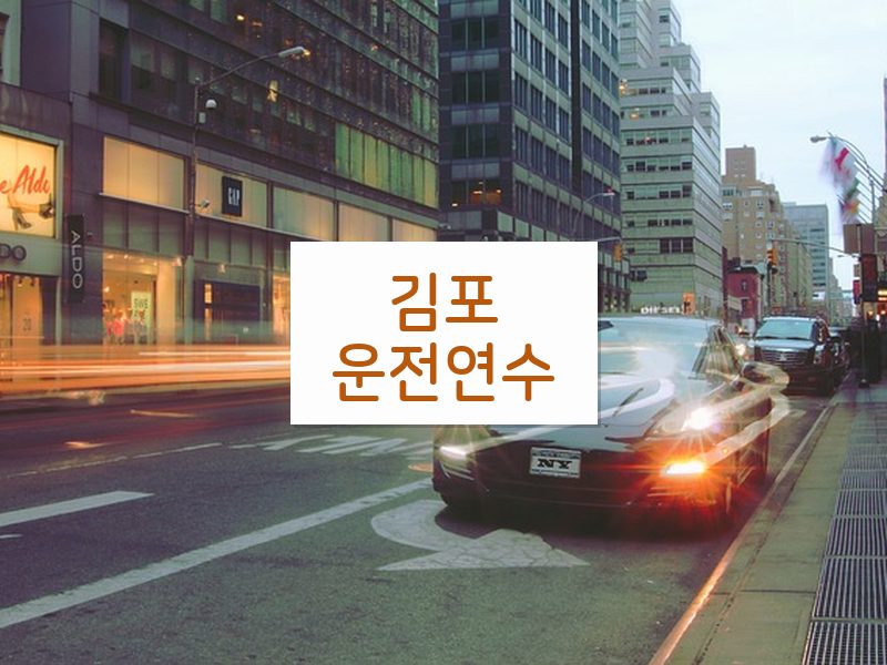 김포운전연수 후기