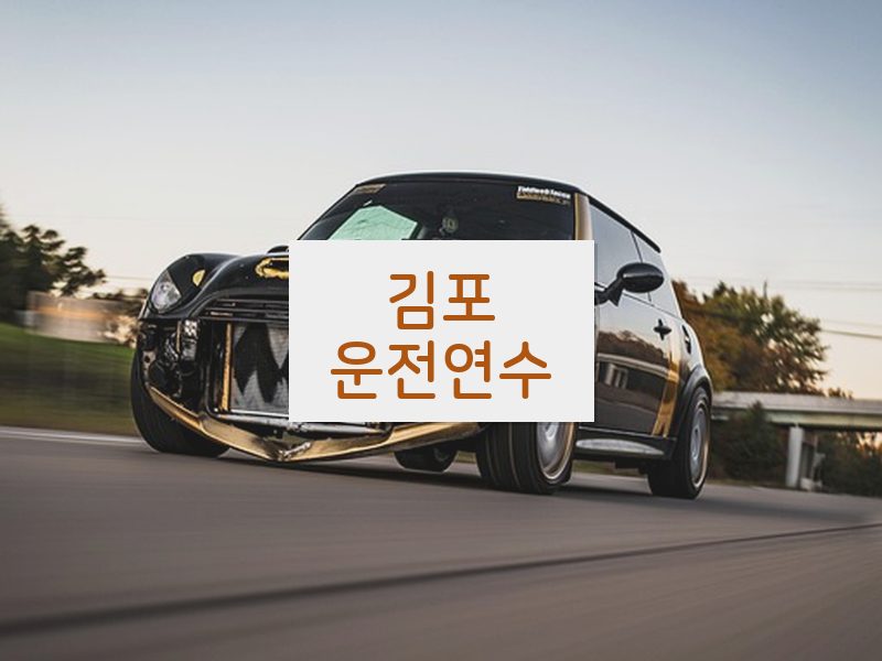 김포운전연수 후기