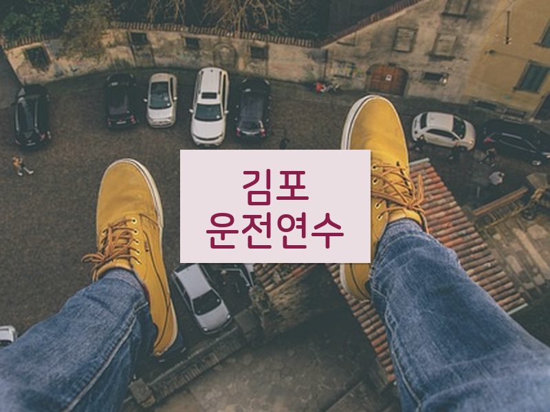 김포운전연수 후기