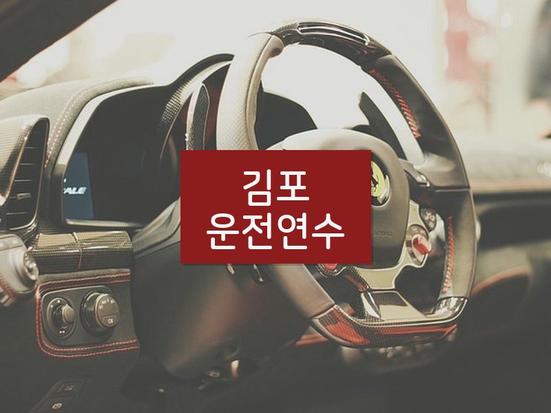 김포운전연수 후기