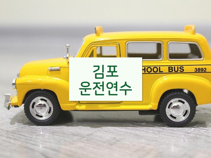 김포운전연수 후기
