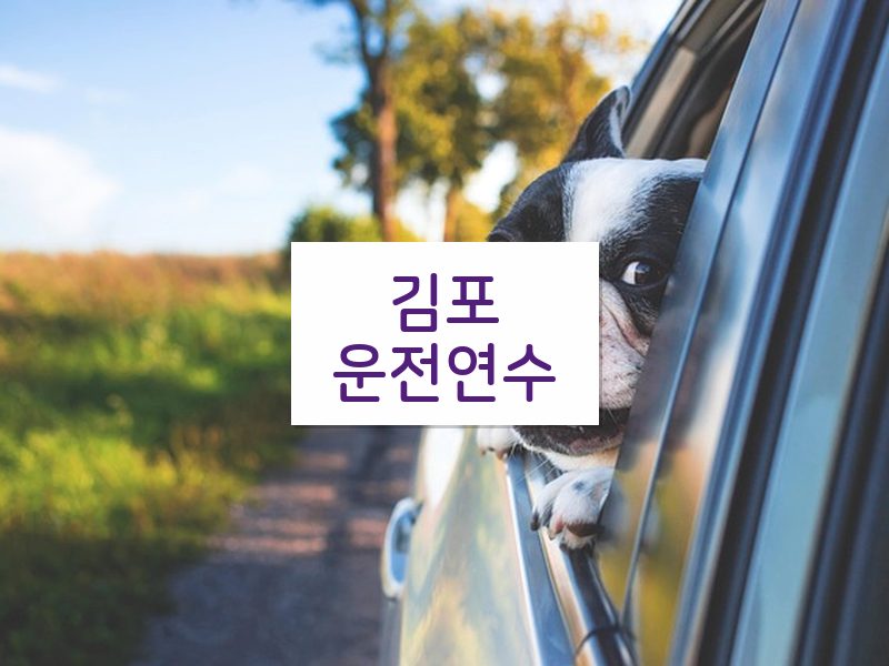 김포운전연수 후기