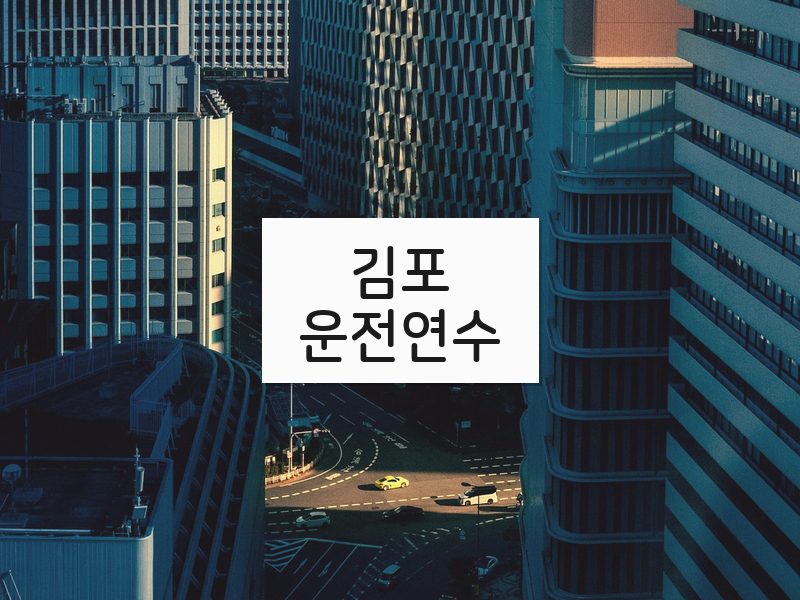 김포운전연수 후기