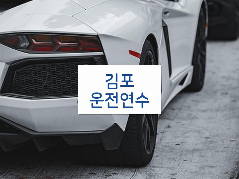 김포운전연수 후기