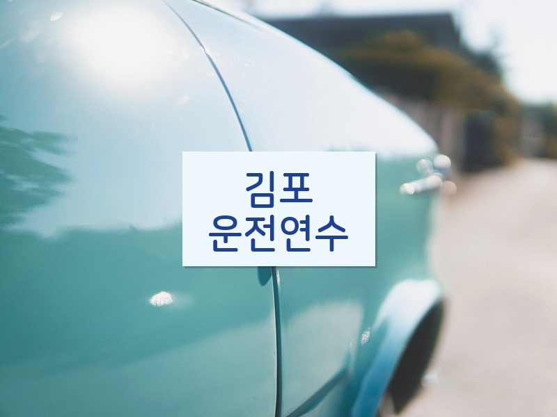 김포운전연수 후기