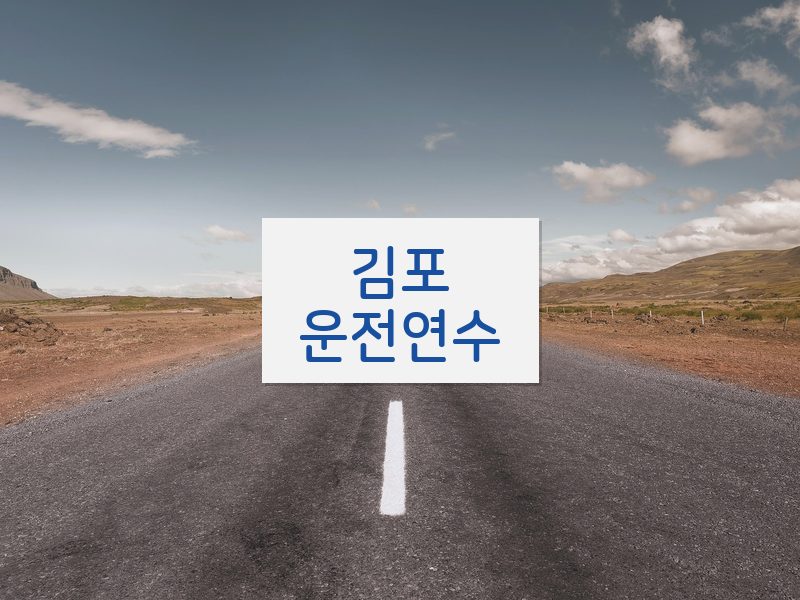 김포운전연수 후기