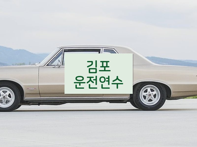 김포운전연수 후기