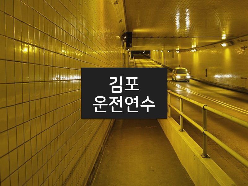 김포운전연수 후기