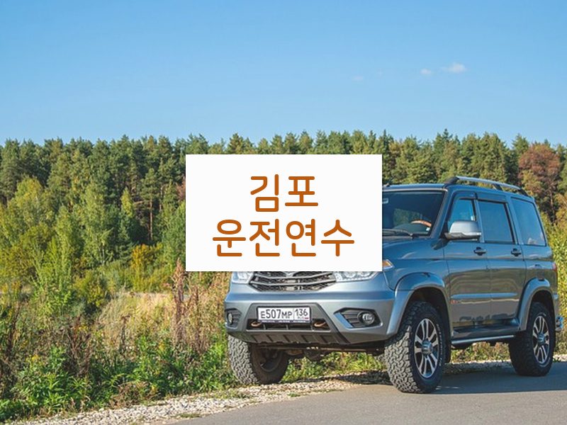 김포운전연수 후기